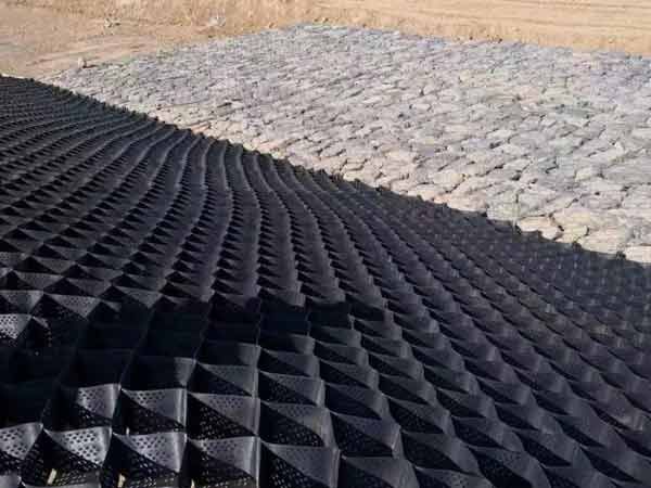 c(din)鿴Ԕ(x)Ϣ(bio)} xΔ(sh)1774