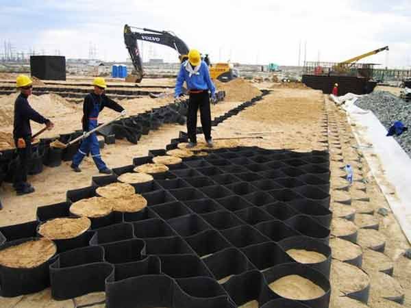 c(din)鿴Ԕ(x)Ϣ(bio)} xΔ(sh)1478