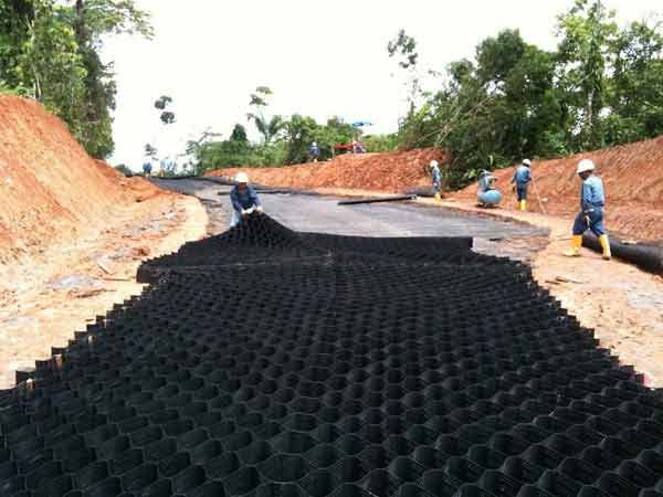 c(din)鿴Ԕ(x)Ϣ(bio)} xΔ(sh)1527